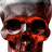 EXP_icon02.gif