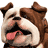 Gamma_beta_02.gif