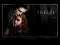 wp1_800x600.jpg